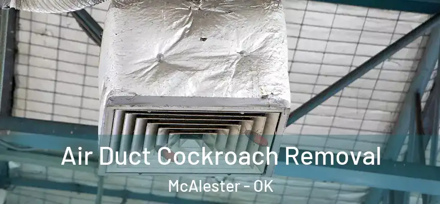  Air Duct Cockroach Removal McAlester - OK