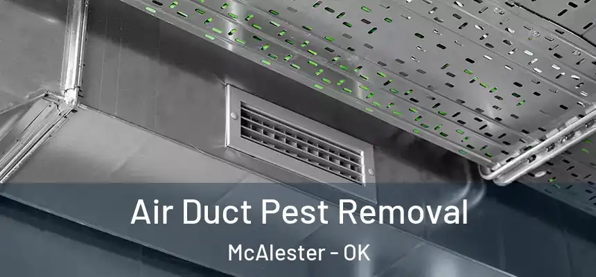  Air Duct Pest Removal McAlester - OK