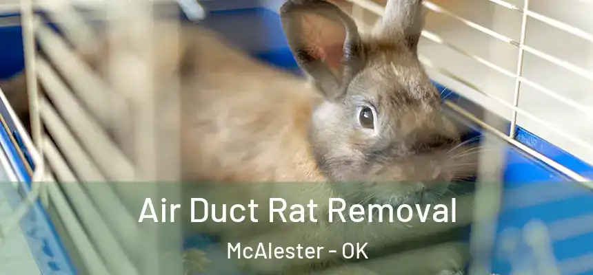  Air Duct Rat Removal McAlester - OK