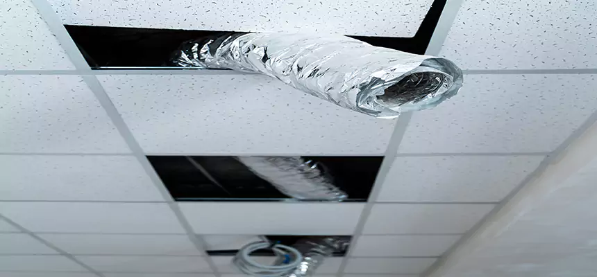 Our Air Duct Pet Hair Removal Services in McAlester, OK