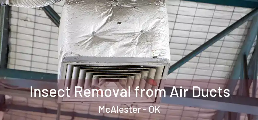  Insect Removal from Air Ducts McAlester - OK