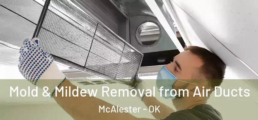  Mold & Mildew Removal from Air Ducts McAlester - OK