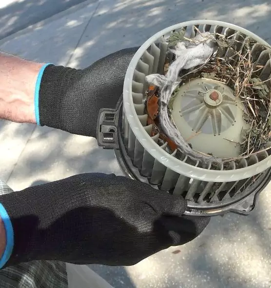 About Air Duct Rat Removal in McAlester, OK