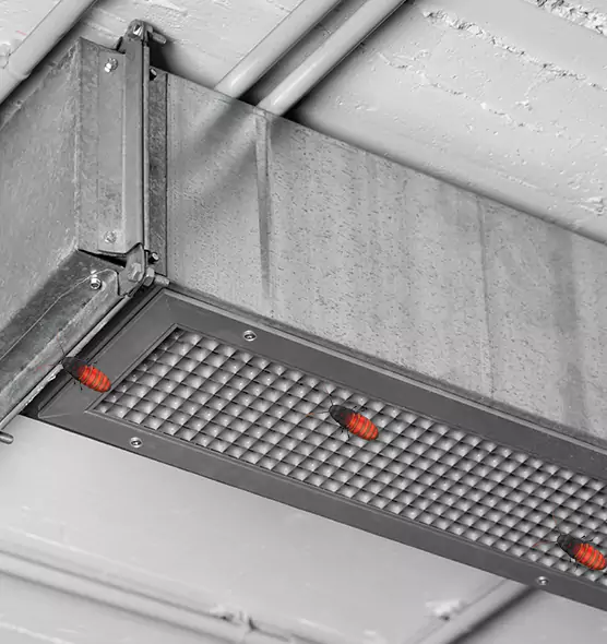 Affordable Insect Removal from Air Ducts in McAlester, OK