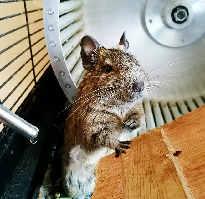 Why Homeowners & Businesses Trust Us McAlester, OK?